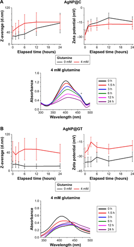 Figure S4 The effect of glutamine on the aggregation behavior of the as-prepared silver nanoparticles with 10 mM NaCl background concentration on pH ~7.2. Average hydrodynamic diameter (Z-average) trend, zeta potential, and UV-Vis spectrum changes of (A) citrate-stabilized AgNP@C, (B) green tea-stabilized AgNP@GT, observed over 24 hours. * marks a UV-Vis detection error during the measurements that should be disregarded.Abbreviations: AgNP@C, citrate-capped nanosilver; AgNP@GT, green tea extract-stabilized silver nanoparticle.