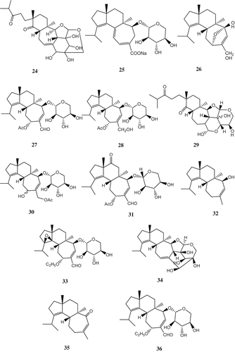 Scheme 3. Structures of compounds 18–36.