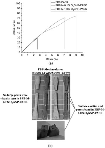 Figure 9. (a) Typical stress–strain curves of PBF-PAEK and composites with 0.1 and 1.0% of O2GNP. (b) Tensile parts of PBF-M-0.1%O2GNP-PAEK and PBF-M-1.0%O2GNP-PAEK. Surface cavities and pores were found in PBF-M-1.0%O2GNP-PAEK.