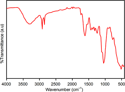 Figure 2 FT-IR spectrum of AgNPs synthesized with M. peregrina leaf extract.
