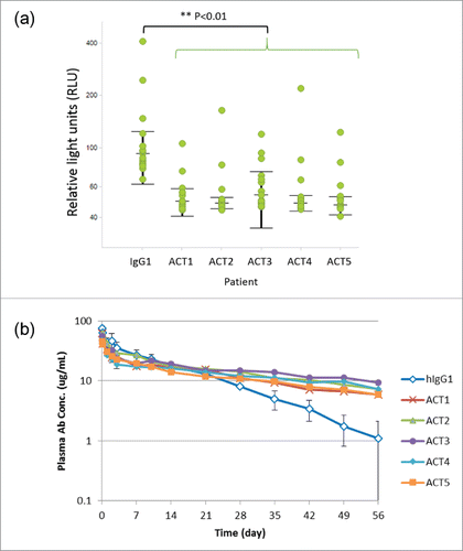 Figure 4. Novel Fc variants ACT1 to ACT5 (the ACT series). (a) Dot plots and statistical significance in RF binding assay for ACT variants. Each individual response of RA patients is shown with median and interquartile range (+/− IQR). Every ACT variant showed significant lower RF binding than intact IgG1 (p<0.01). (b) Time course of plasma antibody concentration in a cynomolgus monkey pharmacokinetic study. Test antibodies have an Fc region of intact human IgG1 (hIgG1) or novel variants (ACT series). The data of several monkeys who showed rapid clearance of a test antibody and were suspected to develop ADA are excluded from the result.