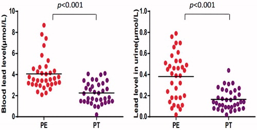 Figure 1. Level of lead in blood and urine from Pb-exposed workers. Values shown are from each subject (in terms of μmol/L) before (PE) and after (PT) chelation therapy.