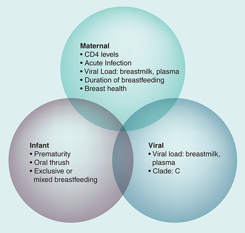 Figure 1. Risk factors for breastfeeding transmission of HIV-1.Adapted from Citation[14–16,104,105]