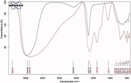 Figure 2. FTIR spectrum of rosemary extract alone (1, blue) and greener synthesised of NiFe2O4 nanorod particle (2, red).