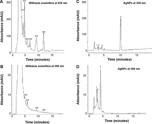 Figure 4 HPLC chromatograms of aqueous leaf extract of Withania somnifera and green synthesized AgNPs.Notes: (A and B) HPLC chromatogram of aqueous leaf extract of Withania somnifera recorded at 235 and 350 nm. W1–W6 are whitanolide-type compounds. (C and D) HPLC chromatogram of AgNPs recorded at 235 and 350 nm. Peak 1 indicates catechin; peak 2 indicates p-coumaric acid; peak 3 indicates luteolin-7-glucoside; and peak 4 indicates a whitanolide-type compound.Abbreviations: AgNPs, silver nanoparticles; HPLC, high-performance liquid chromatography.