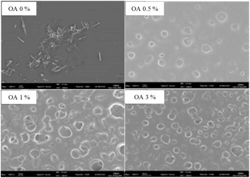 Figure 3. SEM micrographs of CbFG-films without or with OA.