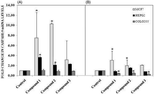 Figure 5. (A) Caspase 9 mRNA levels following 12 h treatment with compounds in different cancer cells, (B) 24 h treatment with compounds. n = 3, *p < 0.05 versus control.