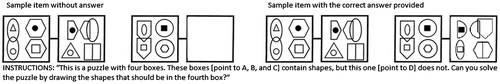 Figure 1. Example of a difficult analogy item, the correct answer and the instructions provided.