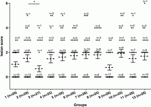 Figure 3.  Lesion scores of individual broiler chickens challenged with C. perfringens in Trial 3. Dotted bars, average lesion score in each group. Solid bars, standard error of the mean (GraphPad Prism Software, Inc, La Jolla, USA). A significant decrease was detected between the unvaccinated control group to which Quil A was administered (Group 2), and the group vaccinated with active supernatant at day 3 and day 12 (Group 3) (*P<0.05). No significant difference was detected between the control groups and the groups vaccinated at day 1 with either crude supernatant or toxoid at different dosages (Groups 5 to 12). A description of the vaccination schedule of Groups 1 to 12 is shown in Table 1.