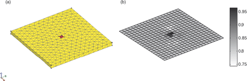 Figure 7. Meshing of the mock-up (a) and noisy values for ϕm on the grid (b).