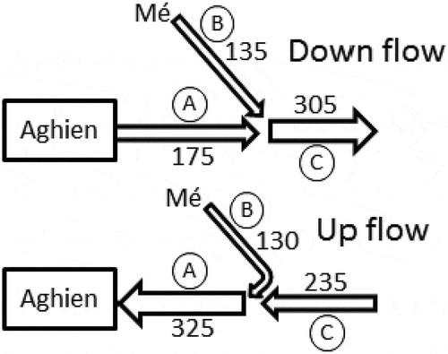 Figure 10. Point discharge survey at the Mé confluence in July 2017 during outflow and inflow phases (discharge is given in m3 s−1, circles represent the gauging sections around the confluence).