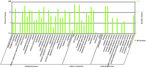 Fig. 3. GO classification of unigenes.