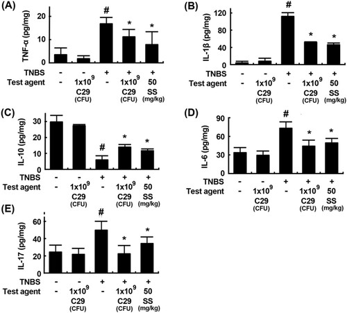 Figure 4. Effects of C29 and sulfasalazine on the expression of TNF-α (A), IL-1β (B), IL-10 (C), IL-6 (D), an IL-17 (E) in mice with TNBS-induced colitis. All values are mean ± SD (n = 6). #P < .05 vs. normal control group. *P < .05 vs. group treated with TNBS alone.