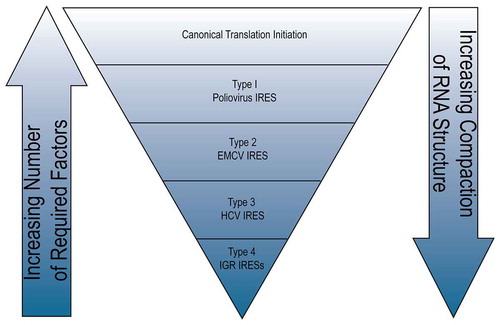 Figure 1. Comparison of the four classes of viral IRESs and canonical cap-dependent translation.