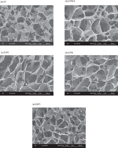 Figure 2.  Representative SEM micrographs of (a) C1 (1% chitosan), (b) C1P0.5 (1% chitosan and 0.5% pectin), (c) C1P1 (1% chitosan and 1% pectin), (d) C1P2 (1% chitosan and 2% pectin), (e) C2P1 (2% chitosan and 1% pectin) scaffolds. Scale bar = 500 μm.