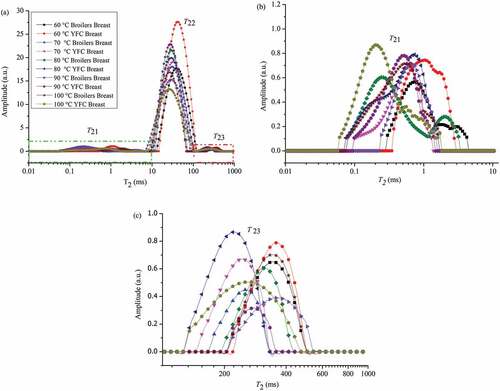 Figure 2. (a) T2 relaxation time distribution curves of chicken breast meat obtained from broilers and YFC subjected to different temperature treatments for 40 min (T21, bound water; T22, immobilized water; T23, free water), (b) Enlarged plot of T21 peak in (a) (green dash-dot rectangle), (c) Enlarged plot of T23 peak in (a) (red dash-dot-dot rectangle). YFC: Yellow-feather chicken