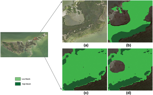 Figure 6. A visualization of model prediction in a selected area in the validation region (Goodwin Islands). A) the raw NAIP imagery (0.6-m spatial resolution); B) ground truth label; C) prediction output of full tuning model; D) prediction output of masked model.