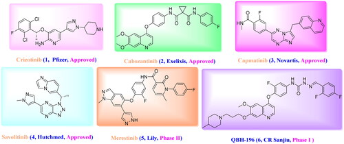 Figure 1. Representative structures of reported c-Met inhibitors.