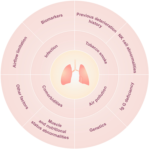 Figure 1 Diagram of risk factors associated with chronic obstructive pulmonary disease.