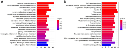 Figure 12 Gene ontology (GO) enrichment and KEGG pathway annotations of the 209 genes related to andrographolide. (A) histogram of GO enrichment; (B) histogram of GO enrichment of KEGG pathway. The GO analysis was conducted using R package cluster Profiler and visualized using R package GOplot.