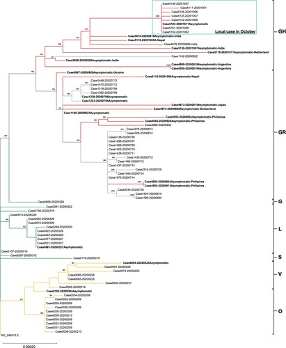 Figure 1. Phylogenetic tree constructed by PhyML using maximum likelihood with bootstrap value set at 1000×. The tree was rooted on the earliest published genome (accession no.: NC_045512.2). Each genomic sequence consisted of 29,782 bp. A total of 360 variable sites were identified by multiple alignment and were used for phylogenetic tree construction. Specimens were labelled by the CHP case number followed by the diagnostic date (YYYYMMDD). Asymptomatic patients were bolded and imported cases were labelled by the departing countries. The letters on the right of the figure are the GISAID phylogenetic clades. Branch lengths were measured in number of substitutions per site. The bar with 0.00020 means that there are approximately 6 substitutions (0.0002 × 29,903 bp) difference when two strains were located at the opposite end of a bar of this length. Branches were highlighted as follow: Orange for cases from January to February (genomes generated in our previous work [Citation1]); Green for cases from March to April; Blue for cases from July to August; and Red for recent cases in September to October (genomes generated in the present study). Locally acquired cases recorded in October were circled by Cyan box.