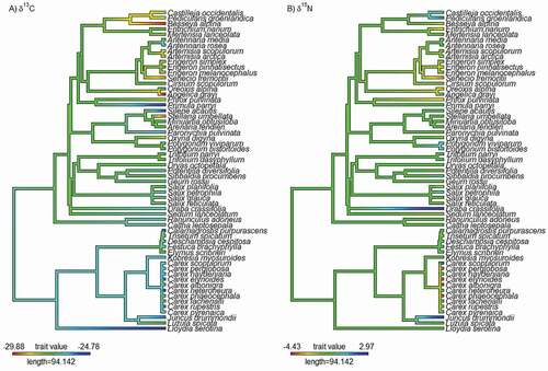 Figure 4. Phylogenetic patterns of variation in (a) δ13C and (b) δ15N among plant species in alpine tundra across all alpine tundra habitat types. We found a weak phylogenetic signal in δ13C (Pagel’s λ = 0.29) where phylogenetic signal was significantly greater than 0 (p = .004).