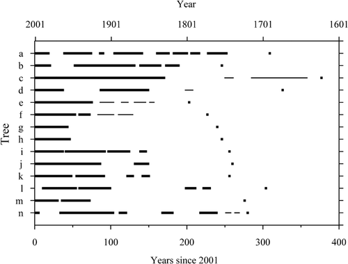 FIGURE 10. Periods of reaction-wood production in 14 white spruce trees growing adjacent to ice-wedge troughs, Sites 1 to 3 and 5, Mackenzie Delta. Thick lines indicate tilting within ±45° of the perpendicular from the tree to the adjacent trough, and thin lines indicate tilting away from the adjacent trough. The first year of tree growth is indicated by a single square