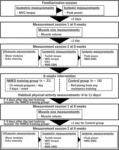 Figure 1. Schema of the experimental procedures.