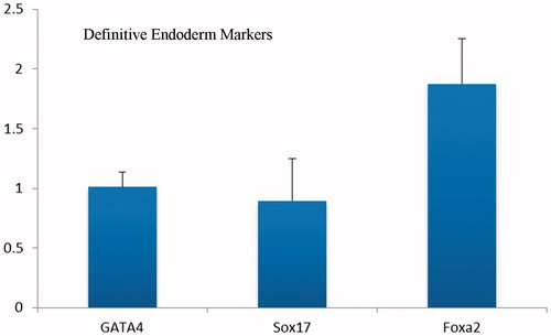 Figure 6. Real time RT-PCR analyses of the expressions level of definitive endoderm genes at day 5 after differentiation of iPSc on aligned PES nanofibers. The expression levels were normalized to control (random nanofibers) group.