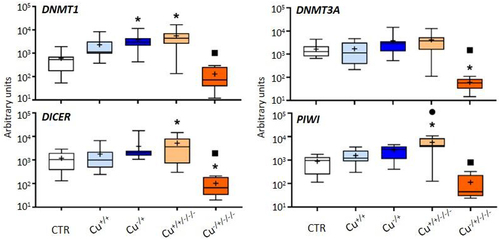 Figure 2. Box whisker plots representing mRNA levels of DNA methylation and non-coding RNAs genes in the experimental treatments. The horizontal line within the box indicates the median (plus sign locates the mean), the boundaries of the box the 25th and 75th percentiles, and the whiskers the highest and lowest results. Asterisks (*), circles (●) and squares (■) denote significant statistical differences (kruskal-Wallis; p-value <0.05) in gene expression in respect to the control, F0 non-naïve (Cu+/+) and naïve (Cu−/+) treatments, respectively.