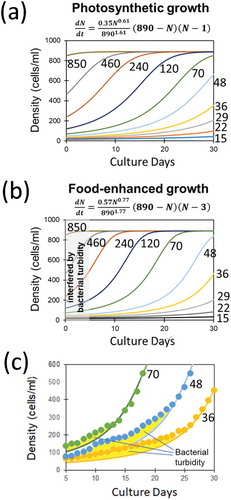 Figure 3. Growth of green paramecia simulated with the novel Allee model. The growth curves simulated with various initial cell densities solely under photosynthesis (a) and with food bacteria (b). (c) Estimation of the uptake of food bacterium by green paramecia shown as the gaps (filled with yellow color) between optically monitored data points (dots) and simulated growth curves. Novel mathematic model for flexible density effect with Allee threshold (7) was used for Gauss-Newton algorithm-based curve fitting. Numbers indicate the initial cell density (cells/ml).