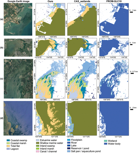 Figure 9. Comparison of our wetland mapping results, CAS_wetlands, and FROM-GLC10 in selected locations. (a) centered at 109.5°E, 21.5°N; (b) centered at 114.0°E, 22.5°N; (c) centered at 109.7°E, 21.6°N; (d) centered at 121.0°E, 33.0°N. Figures in the first column are Google Earth images.