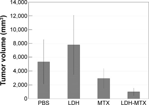 Figure 4 Antitumor activity of MTX and LDH-MTX in the C33A orthotopic cervical cancer model. PBS, LDH, MTX, and LDH-MTX were administered via intraperitoneal injection on days 0, 7, 14, 21, and 28, and tumor volume was measured using calipers after 32 days.Abbreviations: LDH, layered double hydroxide; MTX, methotrexate; LDH-MTX, layered double hydroxide-methotrexate; PBS, phosphate-buffered saline.