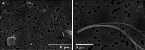 Figure 7. Overview image of the water sample to the left (A), and a magnified SEM image of a chrysotile fiber from the run-off water sample to the right (B).