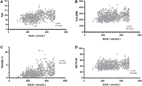 Figure 2 Correlation between serum uric acid (SUA) and four non-insulin-based IR indexes in T2DM. (A) correlation between SUA and triglyceride and glucose index (TyG); (B) correlation between SUA and TyG index with body mass index (TyG-BMI); (C) correlation between SUA and the ratio of triglycerides divided by high-density lipoprotein cholesterol (TG/HDL-c); (D) correlation between SUA and metabolic score for insulin resistance (METS-IR).