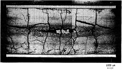 Fig. 8. HBC4 rodlet. Longitudinal cross section CL1.