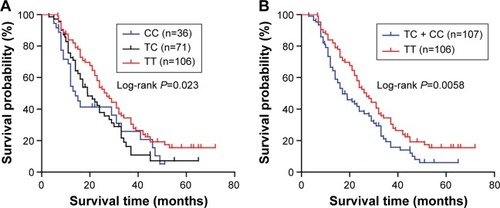 Figure 2 Kaplan–Meier curve of overall survival according to TGFB1 T869C polymorphism in NSCLC.