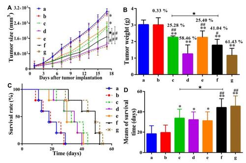 Figure 2 Determination of the antitumor activity of UA-PMs on H-22 xenograft model. The mice induced with the H-22 tumor were treated with different formulations. Outcomes measured the significant changes in the volume of tumor-induced in mice (A), changes in the weight of tumor (B), a curve showing the time of survival for the tumor-bearing mice (C), mean of the survival time (D) and weight of mice. Data are shown as the mean ± SD in each group (n=5). Significant differences were observed between treated groups and saline (*P< 0.05, **P< 0.01), treated groups and 5-FU group (#P< 0.05, ##P< 0.01), UA and UA-PMs (★P < 0.05) at the concentration of 50 mg/kg. Adapted from Zhou M, Yi Y, Liu L, et al. Polymeric micelles loading with ursolic acid enhancing antitumor effect on hepatocellular carcinoma. J Cancer. 2019;10(23):5820. Creative Commons.Citation36