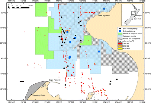 Figure 4  Distribution of blue whale sightings within the South Taranaki Bight (STB), New Zealand overlaid on the distribution of potential anthropogenic threats in the region. Locations of production platforms and layers of permitted seabed mineral exploration and extraction areas are derived from Land Information New Zealand (Citation2012) and the Ministry of Economic Development (Citation2012). Ship traffic density is derived from Halpern et al. (Citation2008). Grid cells with less than 284 ship tracks per km2 cover almost the whole STB region and are not displayed here to simplify the plot. Inset map shows New Zealand with a black box around the STB that is enlarged; Wellington and the Cook Strait are denoted. The centre of upwelling off Kahurangi Point is demarcated in grey; tongues of upwelled water extend as a plume to the north and northeast.