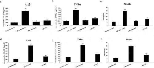 Figure 6. The expression levels of IL-1β, TNF-α and release of NO between groups. A: The expression levels of IL-1β, TNF-α and release of NO in the AD+TG, AD+donepezil, AD model and Normal control groups. (a) IL-1β; (b) TNF-α; (c) Nitrite. B: The expression levels of IL-1β, TNF-α and release of NO in the AD+TG, AD cell model and Normal control groups. (d) IL-1β; (e) TNF-α; (f) Nitrite.Data was expressed as the mean ± standard error of the mean (SEM)(n = 8/group). ‘**’ indicating significant inter-group difference. TG: Tripterygium glycoside; AD: Alzheimer disease; NS: normal saline