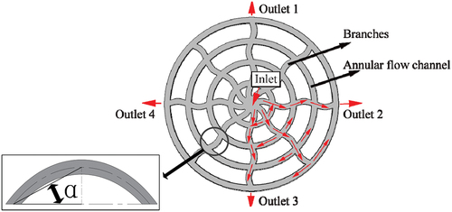 Figure 1. Rim-Type radial FF structure.