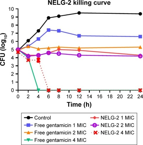 Figure 9 Killing curve of bacterial strain Klebsiella oxytoca 700324 exposed to 1, 2, and 4 mg/L of NELG-2 and free gentamicin.Abbreviations: CFU, colony forming unit; MIC, minimum inhibitory concentration; NELG-2, dipalmitoyl-sn-glycero-3-phosphocholine, 1,2-dimyristoyl-sn-glycero-3-phospho-(1′-rac-glycerol), and cholesterol (2:3:1).