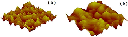 Figure 4. AFM topographical images of the cellulose ester filter membrane with their specific roughness. (a) Grade 0.2 µm, roughness of 169 nm; (b) grade 0.8 µm, roughness of 334 nm.