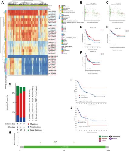 Figure 12 Analysis of LHFPL6 methylation in gastric cancer (GC). (A) Waterfall plot for the methylation levels of the LHFPL6 gene. The correlations between LHFPL6 methylation and expression levels were also analyzed. (B and C) Pearson’s correlation coefficient (B) and Spearman correlation coefficient (C) for the relationship between LHFPL6 promoter methylation levels and LHFPL6 expression levels. Association of LHFPL6 promoter methylation with (D) Overall Survival (OS), (E) Disease-Free Interval (DFI), and (F) Progression-Free Interval (PFI) in patients with GC. (G) Frequencies of LHFPL6 mutations and copy number alternations (CNA) in the three datasets. (H) The mutation site profile of the LHFPL6 gene is shown. (I and J) OS and PFS analyses according to the mutation status of the LHFPL6 were performed.