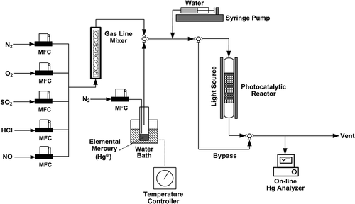 Figure 1. A schematic diagram of the experimental system.
