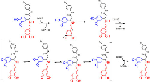 Scheme 3 DPPH-scavenging mechanism of compound 1k.