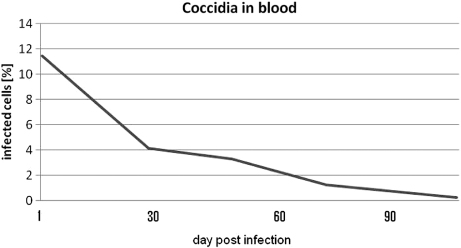 Figure 2. Average number of infected leucocytes in peripheral blood during treatment.