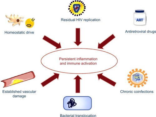 Figure 2 Factors implicated in persistent inflammation and immune activation in HIV patients.