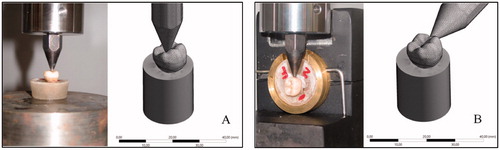 Figure 2. Compressive test using universal testing machine: (A) axial loading, (B) lateral loading for in vitro and in silico test respectively.