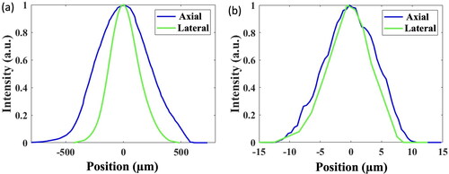 Figure 6. Point-spread functions of the (a) illumination and (b) detection beams’ focal volumes along the lateral and axial axes are illustrated. The illumination optical power at the focal plane was 2.5 mW.
